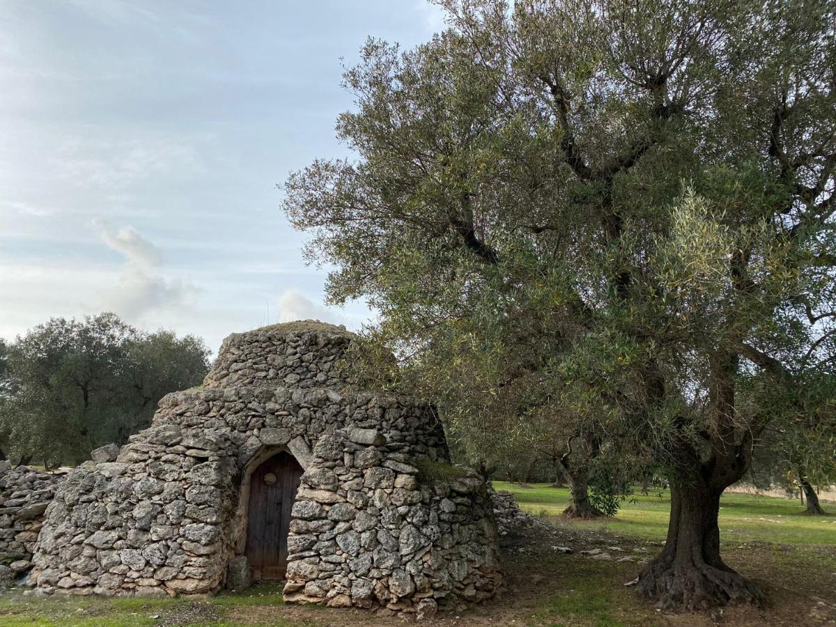 Casa Vacanze Lisa Торре-Ово Экстерьер фото